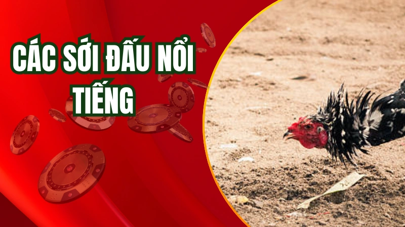Tham gia các nhà cái đá gà nổi tiếng như AE888