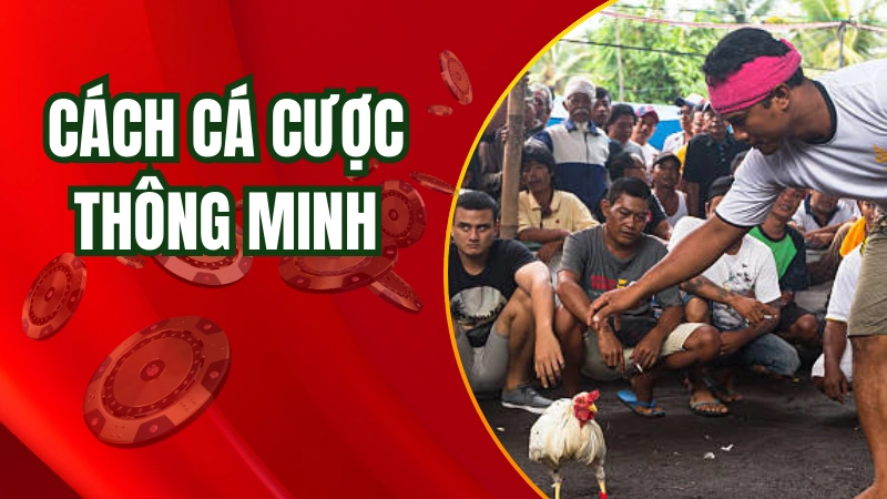 Cách cá cược thông minh trong bộ môn đá gà hàng xáo