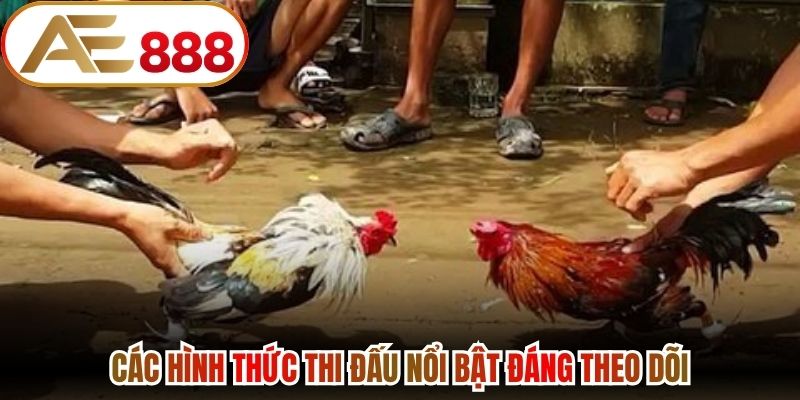 Các hình thức thi đấu nổi bật đáng theo dõi 