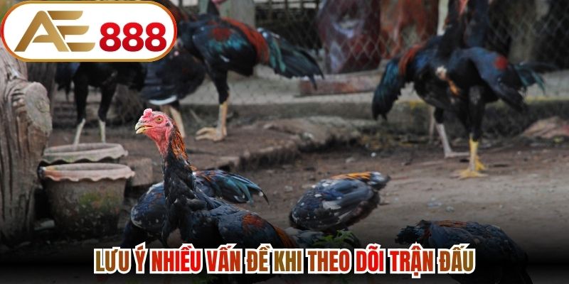 Lưu ý nhiều vấn đề khi theo dõi trận đấu