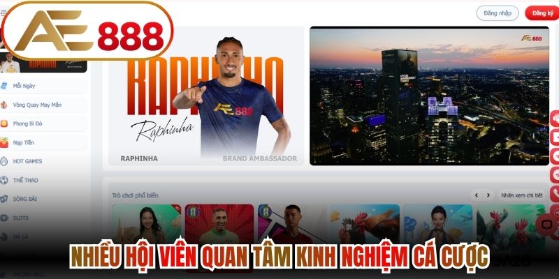 Nhiều hội viên quan tâm kinh nghiệm cá cược