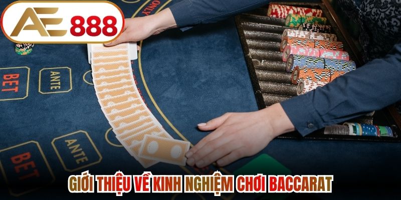 Giới thiệu về kinh nghiệm chơi Baccarat