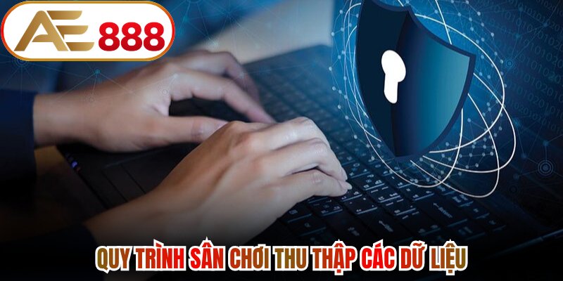 Quy trình sân chơi thu thập các dữ liệu