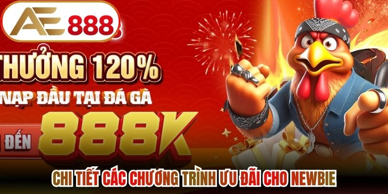 Chi tiết các chương trình ưu đãi cho newbie